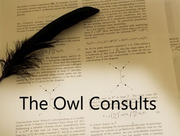 The Owl Consults
