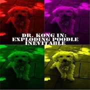 Dr. Kong in: Exploding Poodle Inevitable