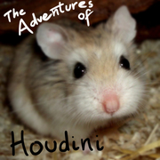 The Adventures of Houdini