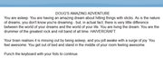Doug's Amazing Adventure: a slice of interactive fiction featuring Haivercraft